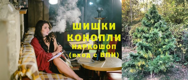 дживик Арсеньев