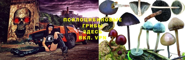 дживик Арсеньев